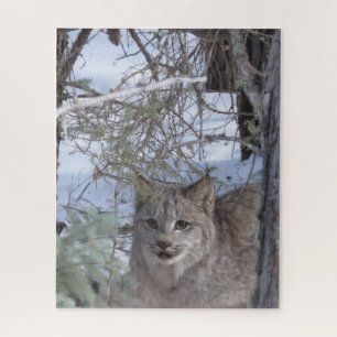 Puzzle canadien Lynx