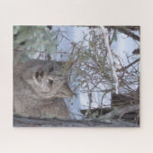 Puzzle canadien Lynx (Horizontal)