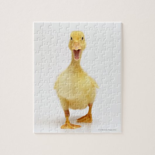 Puzzle Canard (Vertical)