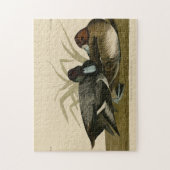 Puzzle Canard à bec (Petite écorce) Audubon Birds of Amer (Vertical)