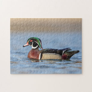 Puzzle Canard à bois dans la vallée de l'Hudson