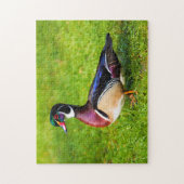 Puzzle Canard à bois mâle sur l'herbe (Vertical)