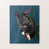 Puzzle Canard à Surf mâle au quai (Vertical)