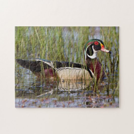 Puzzle Canard branchu dans une zone humide (Horizontal)