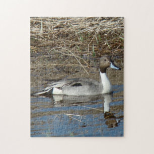 Puzzle Canard colvert B5 Pintail