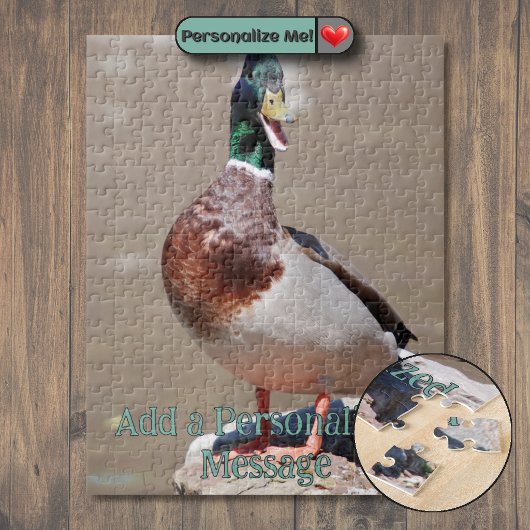Puzzle Canard colvert cancanant