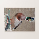 Puzzle Canard colvert cancanant (Horizontal)