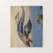 Puzzle Canard colvert dans la vallée de l'Hudson (Vertical)