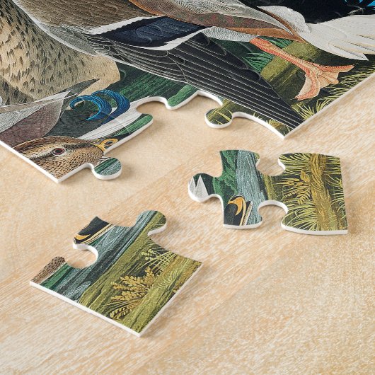 Puzzle Canard colvert des oiseaux d'Amérique (Audubon) (Côté)