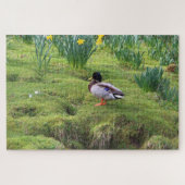 Puzzle Canard colvert sur la rive d'une rivière (Horizontal)