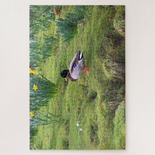 Puzzle Canard colvert sur la rive d'une rivière (Vertical)