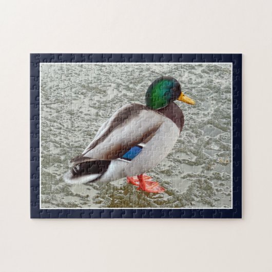 Puzzle Canard colvert sur lac gelé (Horizontal)