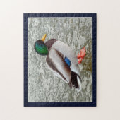 Puzzle Canard colvert sur lac gelé (Vertical)