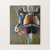 Puzzle Canard colvert vibrant (Vertical)