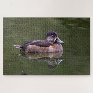 Puzzle Canard cou