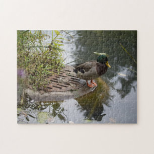 Puzzle Canard dans un étang