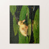 Puzzle Canard de bébé jaune flottant sur des coussinets d (Vertical)