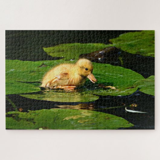 Puzzle Canard de bébé jaune flottant sur des coussinets d (Horizontal)