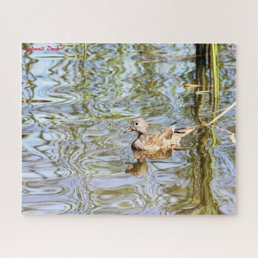 Puzzle Canard de Gadwall (Horizontal)