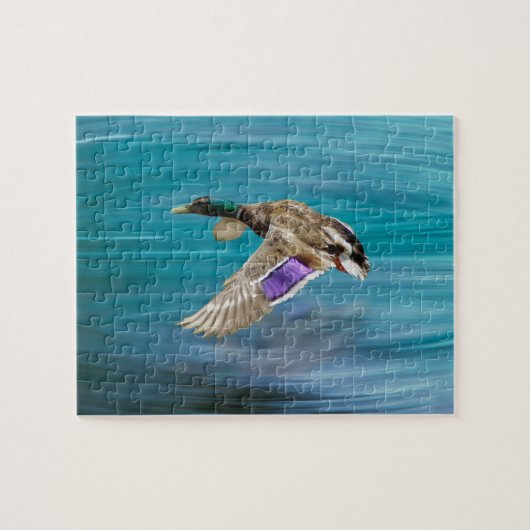 Puzzle Canard de Majard volant (Horizontal)
