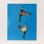 Puzzle Canard de Mallard en vol (Vertical)