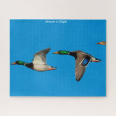 Puzzle Canard de Mallard en vol (Horizontal)
