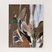 Puzzle Canard de Mallard en vol (Vertical)