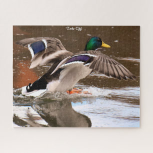 Puzzle Canard de Mallard en vol