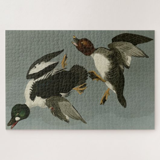 Puzzle Canard doré - photo d'Audubon's Birds of America (Horizontal)