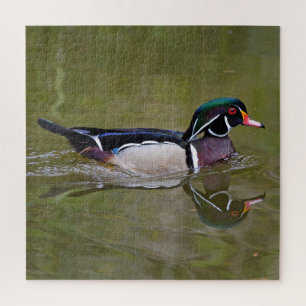 Puzzle Canard en bois coloré