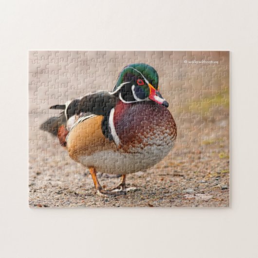 Puzzle Canard en bois sur le gravier (Horizontal)