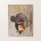 Puzzle Canard en bois sur le gravier (Vertical)
