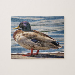Puzzle Canard En Mer