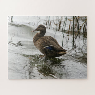 Puzzle Canard gris sur la nuit du lac