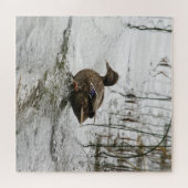 Puzzle Canard gris sur la nuit du lac (Horizontal)