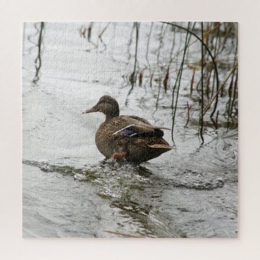 Puzzle Canard gris sur la nuit du lac (Vertical)