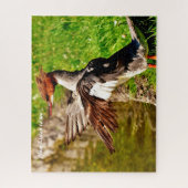 Puzzle Canard harle (Vertical)
