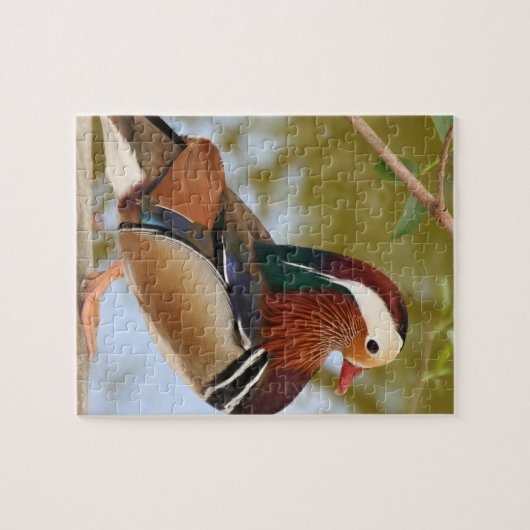 Puzzle Canard mandarin (Horizontal)