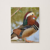 Puzzle Canard mandarin (Vertical)