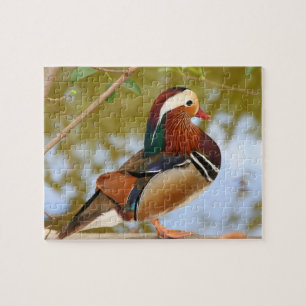 Puzzle Canard mandarin