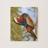Puzzle Canard mandarin (Vertical)