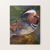 Puzzle Canard masculin (Vertical)