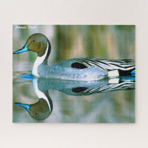 Puzzle Canard pilet