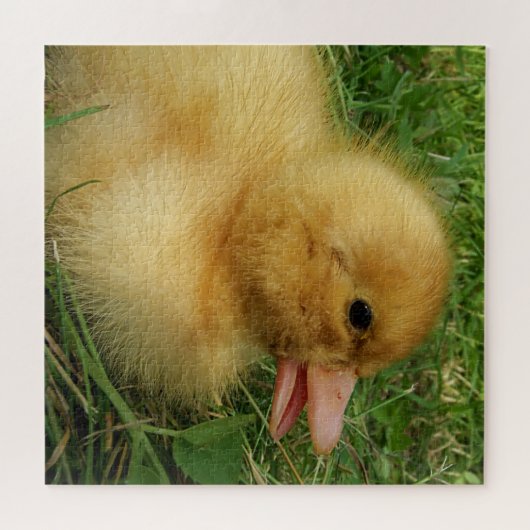Puzzle canard, poulet, animal, poussin, oiseau, ferme, mi (Horizontal)