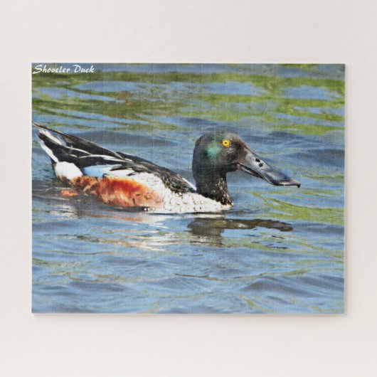 Puzzle Canard souchet (Horizontal)
