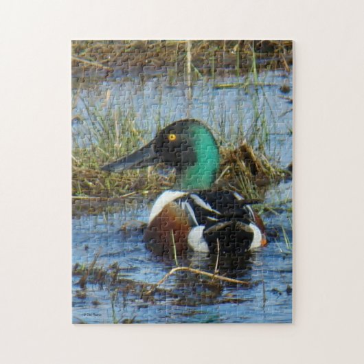 Puzzle Canard souchet mâle B25 (Vertical)
