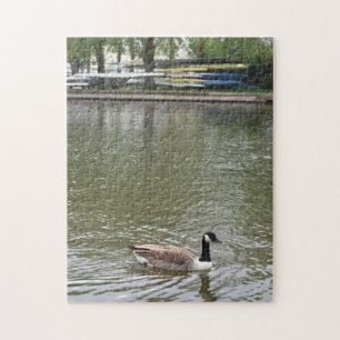Puzzle Canard sur la rivière Avon Bird Nature Photographi