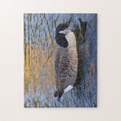 Puzzle Canard sur le Water Regent's Park London UK (Vertical)