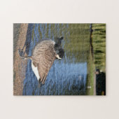 Puzzle Canard sur l'eau Oiseau Photographie de la nature (Horizontal)