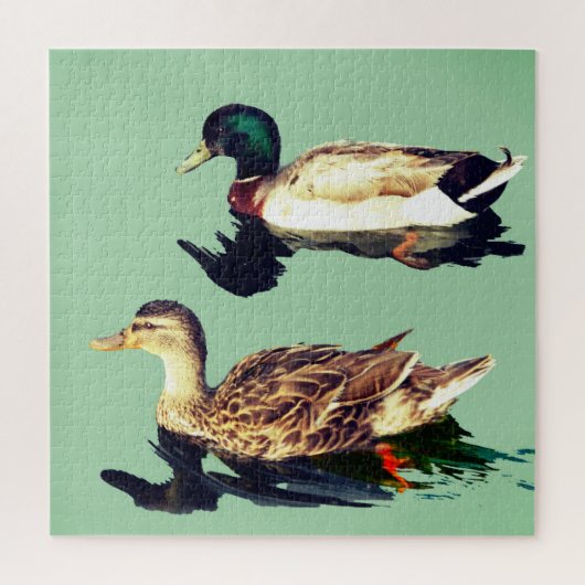 Puzzle Canards (Vertical)